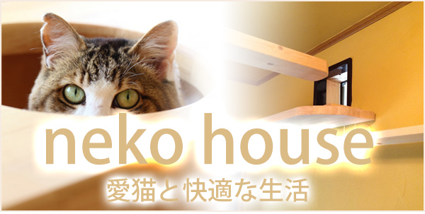 大牟田市、荒尾市、柳川市の愛猫と快適な生活の住宅をご提案　コスモ地建